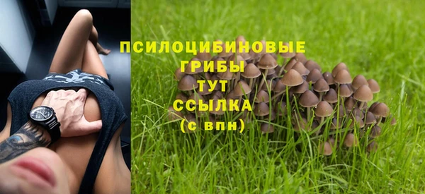 прущий лед Приозерск