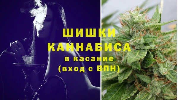 шишки Елизово