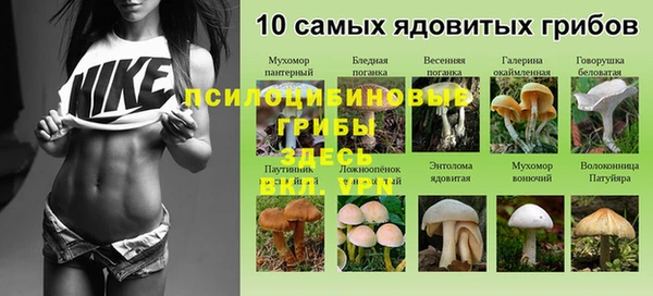 прущий лед Приозерск