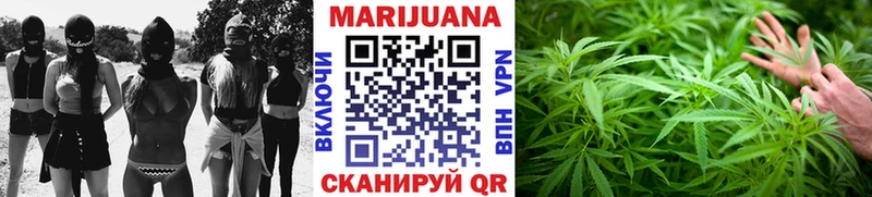 Бошки марихуана SATIVA & INDICA  MEGA tor  Спас-Деменск  сколько стоит 